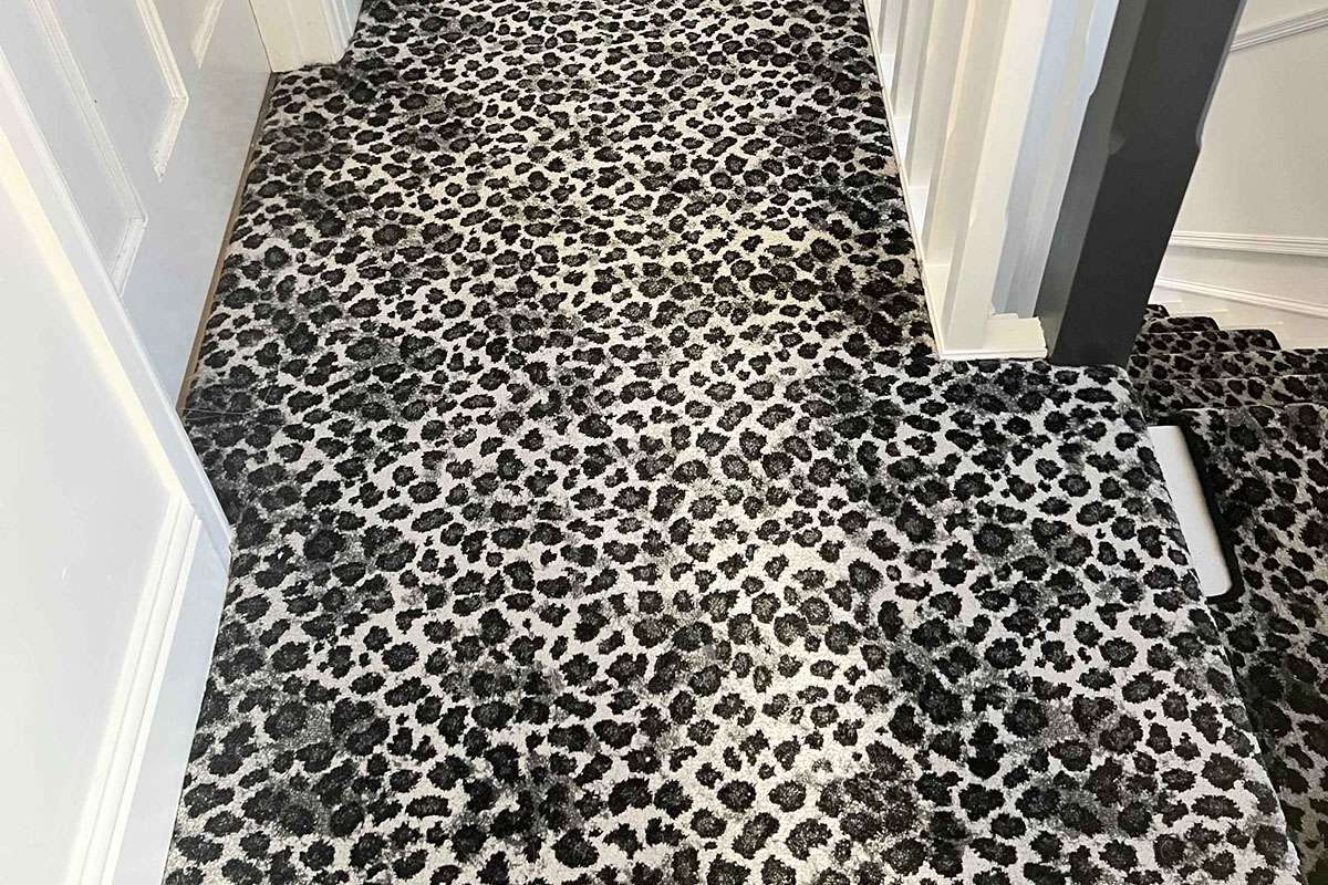 Snow Leopard landing